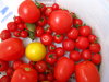 pomidor łyżka (4)