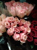 różowy aksamit