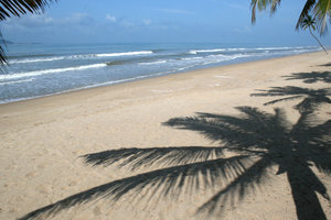 tropikalna plaża 3