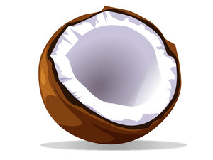kokosowy wektor