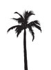 Sylwetka palmtree