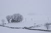 Śnieg w Alto Campoo