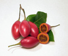 Tamarillos 1