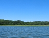 Sky, trees, and river