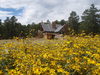 Sundance Trail Ranch House