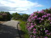 Tarbert Szkocja